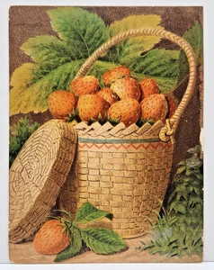 Erdbeeren im Gartenkorb viktorianischer Chromolithographie Druck Album Karte - Bild 1 von 2