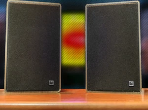 GRUNDIG BOX-550 ๐RaRe๐ Vintage Stereo Bookshelf Speakers - Picture 1 of 5