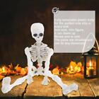 Halloween Movable Skeleton Human Model Skull Full Body Toy K Figure Mini O0G1
