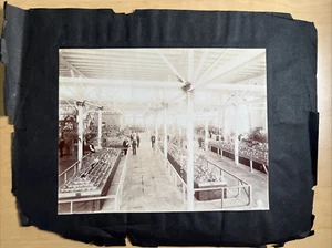 Centenario Mundial del Algodón 1884 en Nueva Orleans - Dakota Exposición Conserva y más - Imagen 1 de 9