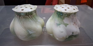 VINTAGE PAAR PORZELLAN SALZ & PFEFFERSTREUER - OHNE STOPFEN - BLUMEN - Bild 1 von 4