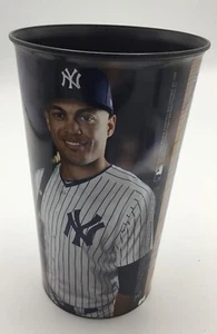 Giancarlo Stanton New York Yankee Stadium Souvenir 32 oz Collector Cup 2 2018 - Picture 1 of 3