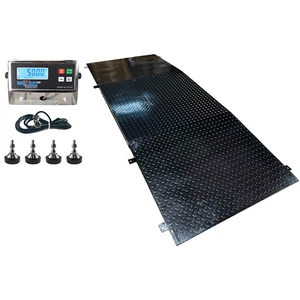 SellEton 48" x 48" (4x4) Ready Floor scale with 2 Ramps Pallet size 5000 x 1 lb - Picture 1 of 4
