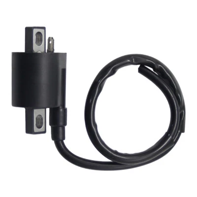 Bobina de encendido para Yamaha XT350 96-2000/WR250 WR250Z 1995/zuma II 50 CW50 99-2001 Foto 1 de 4