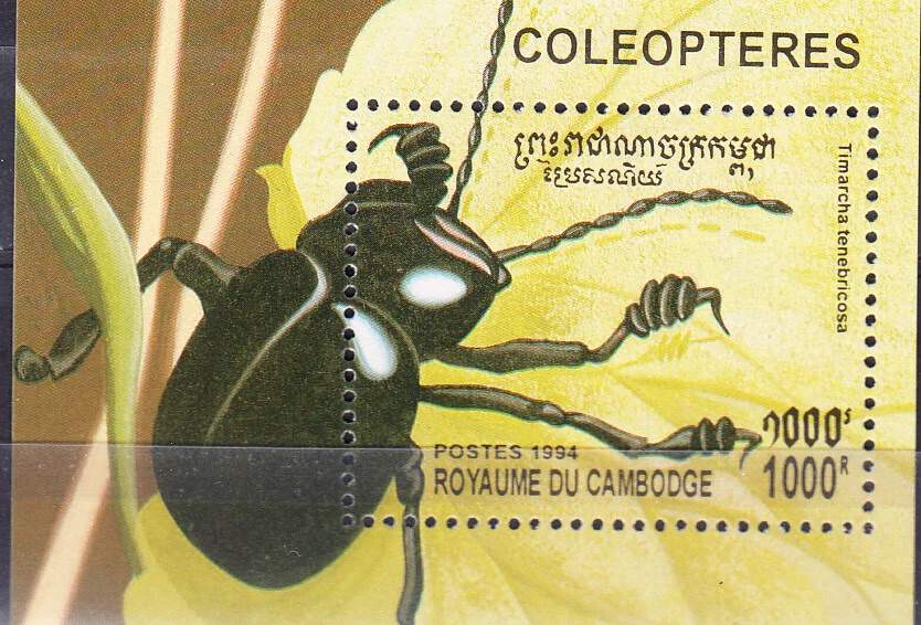 W CAMBODIA 1378 INSECTS - Image 1 of 1