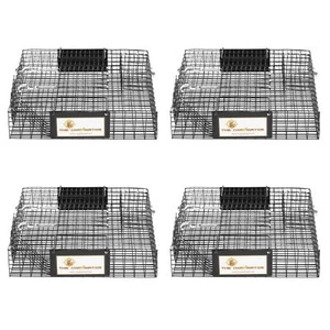 Rugged Ranch Chipmunkinator Chipmunk Squirrel Metal 2 Door Trap Cage (4 Pack) - Picture 1 of 12