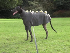 Hund Dinosaurier Pullover Fleece Mantel Windhund Lurcher Gr. 28-30" Khaki XLarge - Bild 1 von 6
