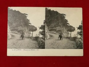CPA AU JAPON - Paysage au Hakoni LL n°9 - Imagen 1 de 2