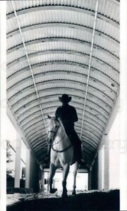 Photo de presse silhouette de cow-boy à cheval équitation sous toit métallique brise