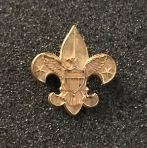 Boy Scouts BSA Tenderfoot Patented 1911 Eagle Fleur de Lis Lapel Rank Pin - Picture 1 of 4