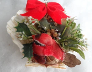 Handgefertigter Weihnachtsschmuck - Kardinal Diorama in echter Jakobsmuschel Muschel mit Schleife - Bild 1 von 3