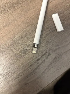 Apple Pencil para iPad 1ª Generación Incluye Adaptador para Cable Lightning Tipo C Foto 1 de 2