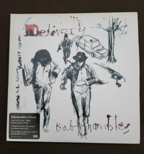 Babyshambles- Delivery x2 7" Singles RED Vinyl Exclusive NME Vinyl - Free P+P - Picture 1 of 6