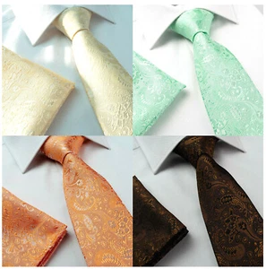 Jacquard Paisley Mens Woven Silk Pocket Hanky Hankie & Tie SET F Wedding Prom UK - Picture 1 of 6