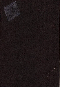 Rumänien, 2002, Beschäftigungsakte, Arbeitsbuch - Klinikkrankenhaus Theodor Burghele - Bild 1 von 13