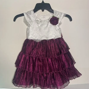 Jona Michelle Girls Dress Size 3 Holiday Formal Fuchsia Metallic Lace Tuille - Picture 1 of 5