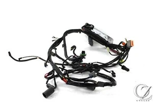 Harley-Softail Fatboy 2006 06 FLSTF arnés de cable principal telar - Imagen 1 de 6