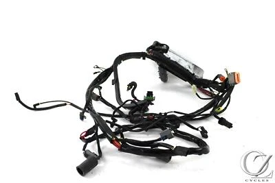 Harley-Softail Fatboy 2006 06 FLSTF arnés de cable principal telar Foto 1 de 4