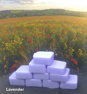 10 tarta de cera se derrite más de 6 oz de trozos máximos altamente perfumados envío gratuito Foto 1 de 4