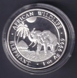 Somalia Coin 2017 Elephant - 100 SHILLINGS - 1 OZ - Fine Silver Proof - Picture 1 of 2