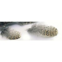 Details about / C/&F Small Foam Insert for FFS 1 and 2 Shells for Dry Nymph and Wet Flies