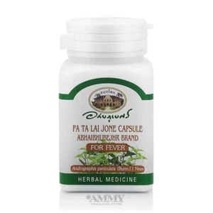 2 x ANDROGRAPHIS PANICULATA ABHAIBHUBEJHR BRAND FOR RELIEVES FEVER OTC 400mg - Picture 1 of 10