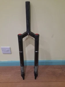 DT SWISS XR RIGID CARBON FORKS. - Picture 1 of 6