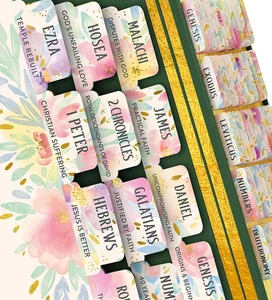 Blüte Aquarell Bibeltabs für Frauen Studienbibel - Seelenernährendes Buch Zusammenfassung - Bild 1 von 12