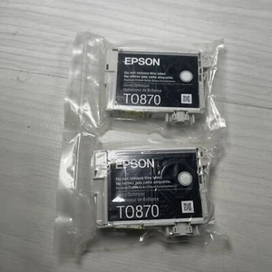 GENUINE EPSON T0870 GLOSS OPTIMIZER INK CARTRIDGE C13T08704010 TWIN PACK - Picture 1 of 2
