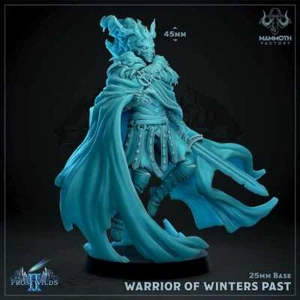 Warrior of Winters Past | Undead Snow Fighter Miniatur | 3d gedruckte Mini Figur - Bild 1 von 4