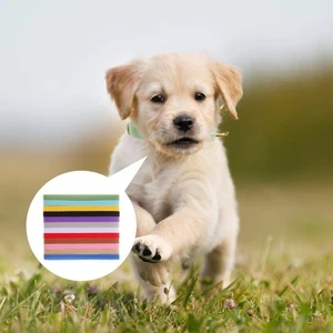 Collar de cuello de identificación de mascotas de 12 colores identificación ajustable para perros cachorros cachorros - Imagen 1 de 11