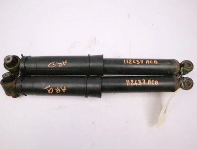 Ammortizzatore Posteriore Destro Usato RENAULT MEGANE II Fase 1 - 1.6 16v - - Immagine 1 di 4