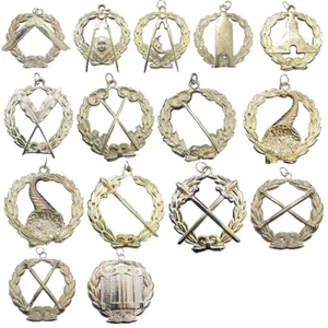 Regalia Masónica Gran Logia Todas las Joyas Joyas Enchapadas en Oro Diferentes Emblemas - Imagen 1 de 34