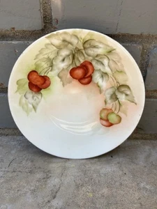 Vintage 6” Handpainted Bavarian Cherry Plate - Picture 1 of 7
