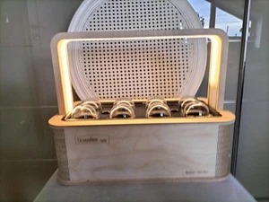 Green Box Berlin Green Growbox Mini Gewächshaus - Top Zustand  - Bild 1 von 8