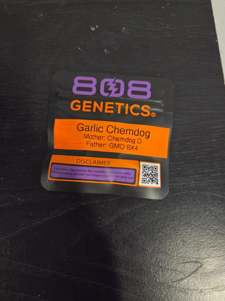 808 Genética Ajo Chemdog Foto 1 de 1