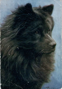The Chow Chow De Reszke Artist Signed Cigarettes Brand Dog Postcard No. 10 - Picture 1 of 2
