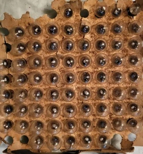 Vintage NOS General Electric GE Miniature Screw In Lamp Light Bulb 70 Count Lot - Picture 1 of 12