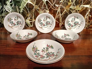 VILLEROY & BOCH Luxembourg BOTANICA - 6 bellissime ciotole da dessert Ø 14 cm - Foto 1 di 5