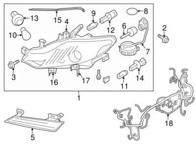 26297-9B91A Bombilla Nissan-xenón 262979B91A, Nueva pieza original OEM Foto 1 de 3