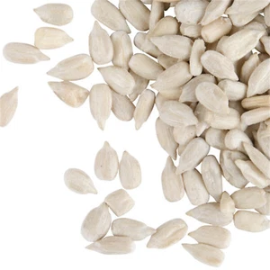 Regal Raw Sunflower Seeds 5 lb. WS-113SFNSRW5 - Picture 1 of 3