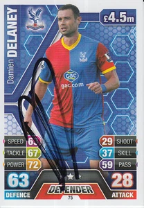 CRYSTAL PALACE HAND SIGNED DAMIEN DELANEY MATCH ATTAX CARD 13/14. - Picture 1 of 1
