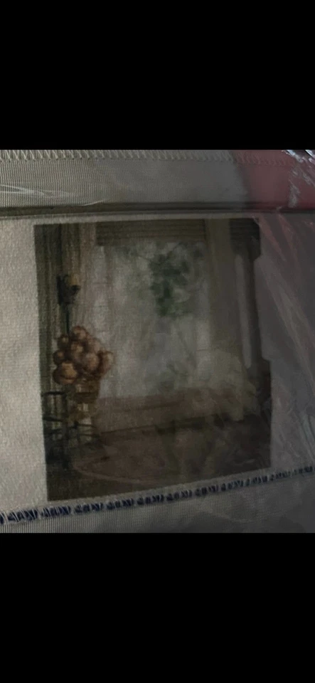 Silla Kate Telón de Fondo Ventanas Globo Dorado De Colección 10x10 36 Foto 1 de 1