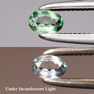 💎 0.10ct 3.5x2.5mm VS Oval Natural Green Alexandrite - Russia Gemstone - Picture 1 of 6