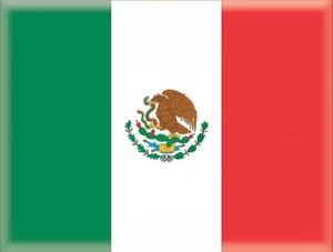 Mexican Flag Birthday ~ Edible 2D Fondant Cake Cupcake Topper ~ D7596 * - Picture 1 of 1