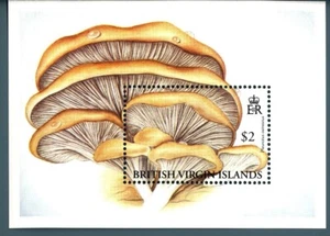 BRITISH VIRGIN ISLANDS - ISOLE VERGINI - 1992 - Funghi MNH** - Imagen 1 de 1
