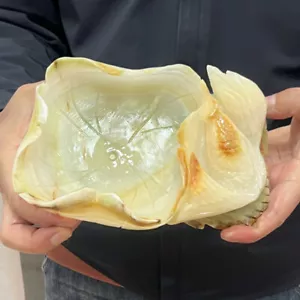 1360g Natural Ore.dushan jade.Hand-carved.Exquisite Mini fish tank statues - Picture 1 of 7