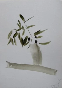 OLIVE BRANCH original art watercolor ink drawing still life directly from artist - Picture 1 of 3