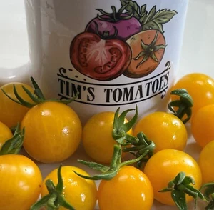 Egg Yolk Tomato Seeds | Organic | Rare Cherry Tomatoes | Vegetable - Picture 1 of 11