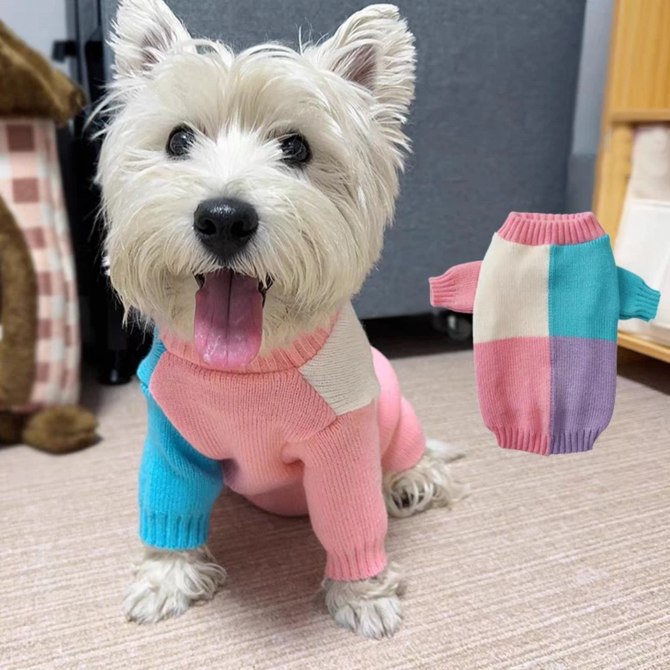 Haustierkleidung Auf Zwei Beinen Stricken Strickhund Strickwollwolle Wolle ♩ - Bild 1 von 4